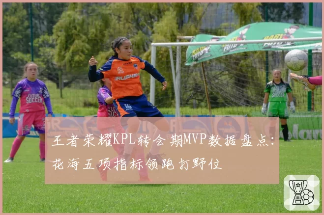 王者荣耀KPL转会期MVP数据盘点:花海五项指标领跑打野位