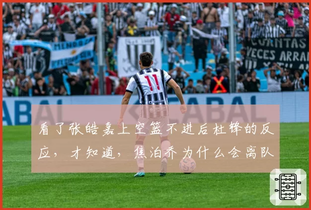 看了张皓嘉上空篮不进后杜锋的反应，才知道，焦泊乔为什么会离队