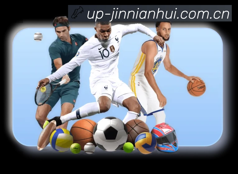 金年会App亮点：多维搜索、热门结果与直达入口